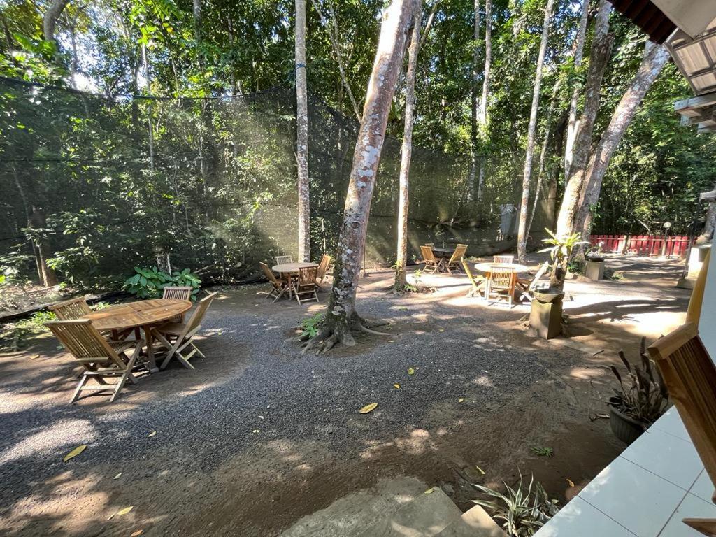 Capital O 92612 Penginapan D'Alas Purwo & Beachnearpadang Savana Sadengan Banyuwangi  Exterior foto